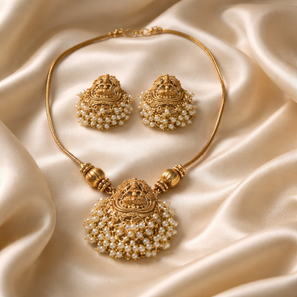 Lakshmi Elegant Look