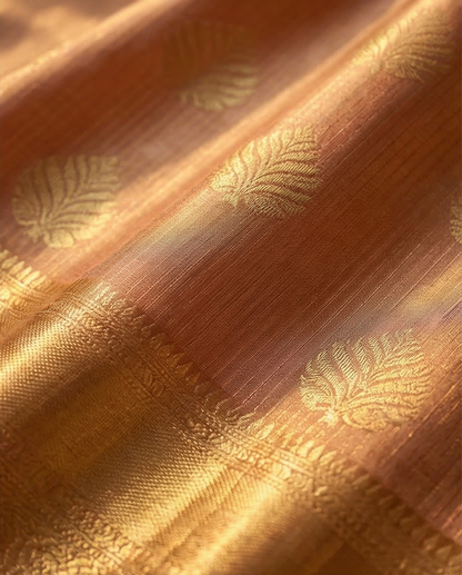 Tissue lines saree (SR-DSP1)